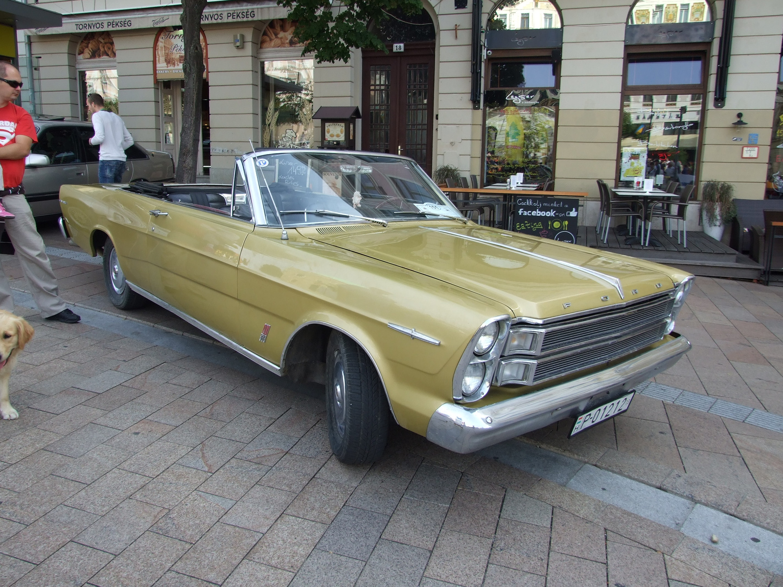 Ford Galaxie b