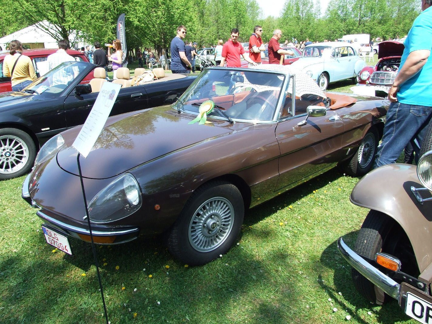 Alfa Spider b