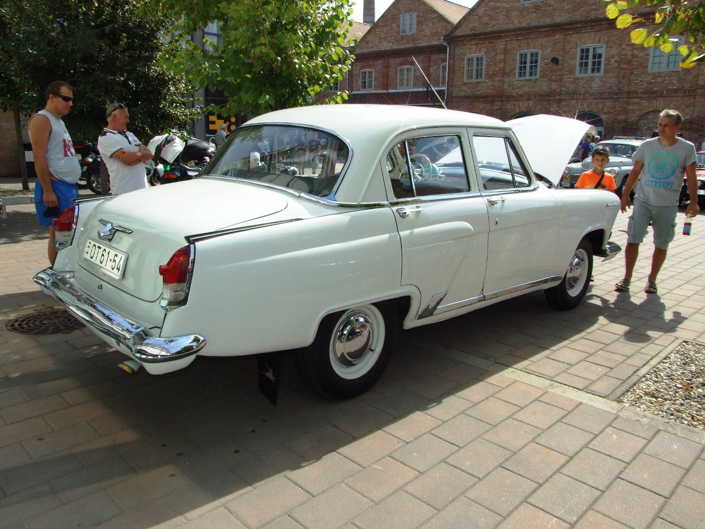 Volga M21 1g