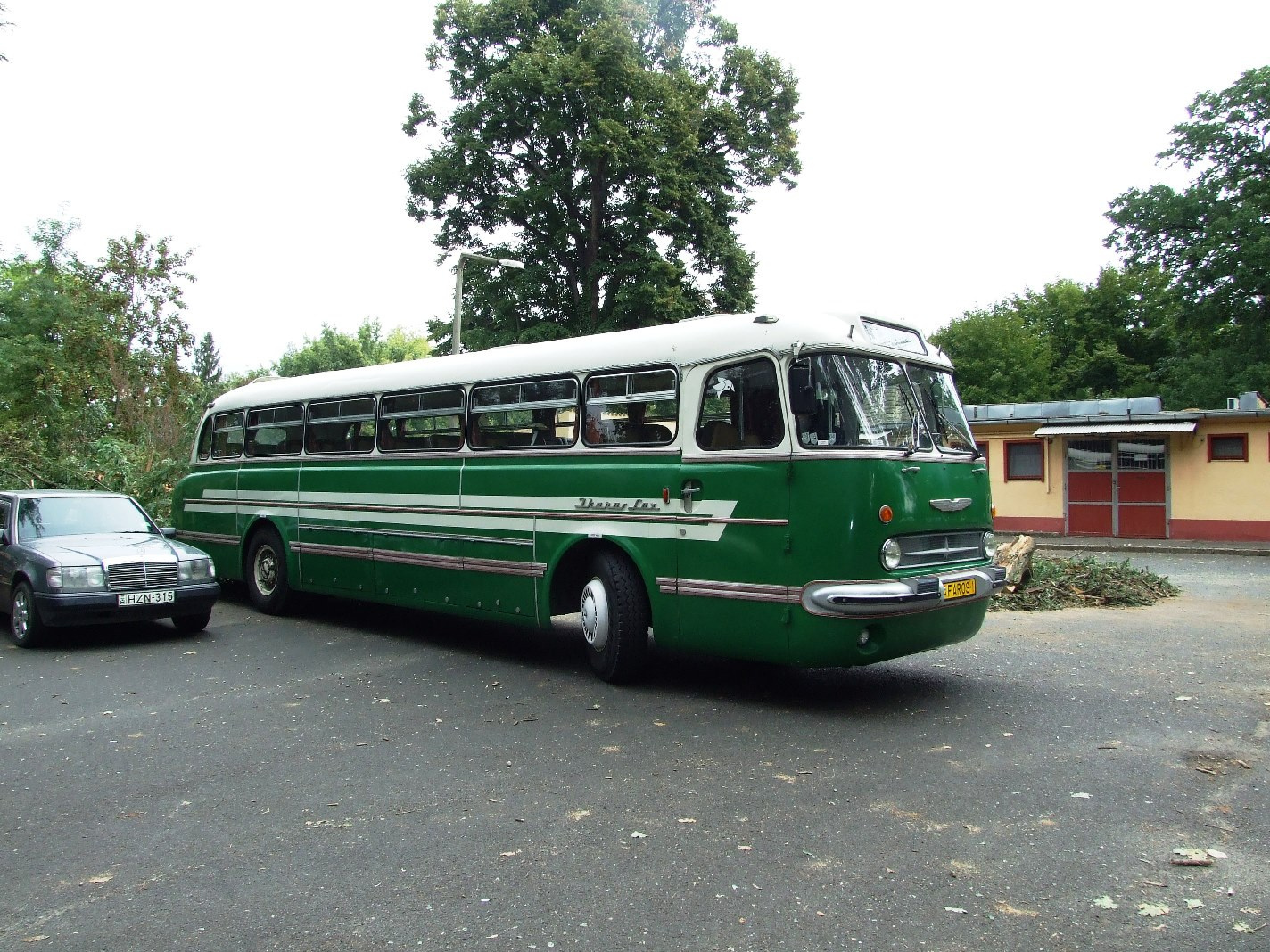 Ikarus 55Lux b