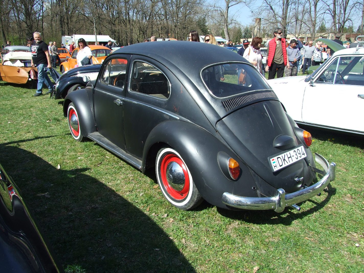 VW Bogár 5b