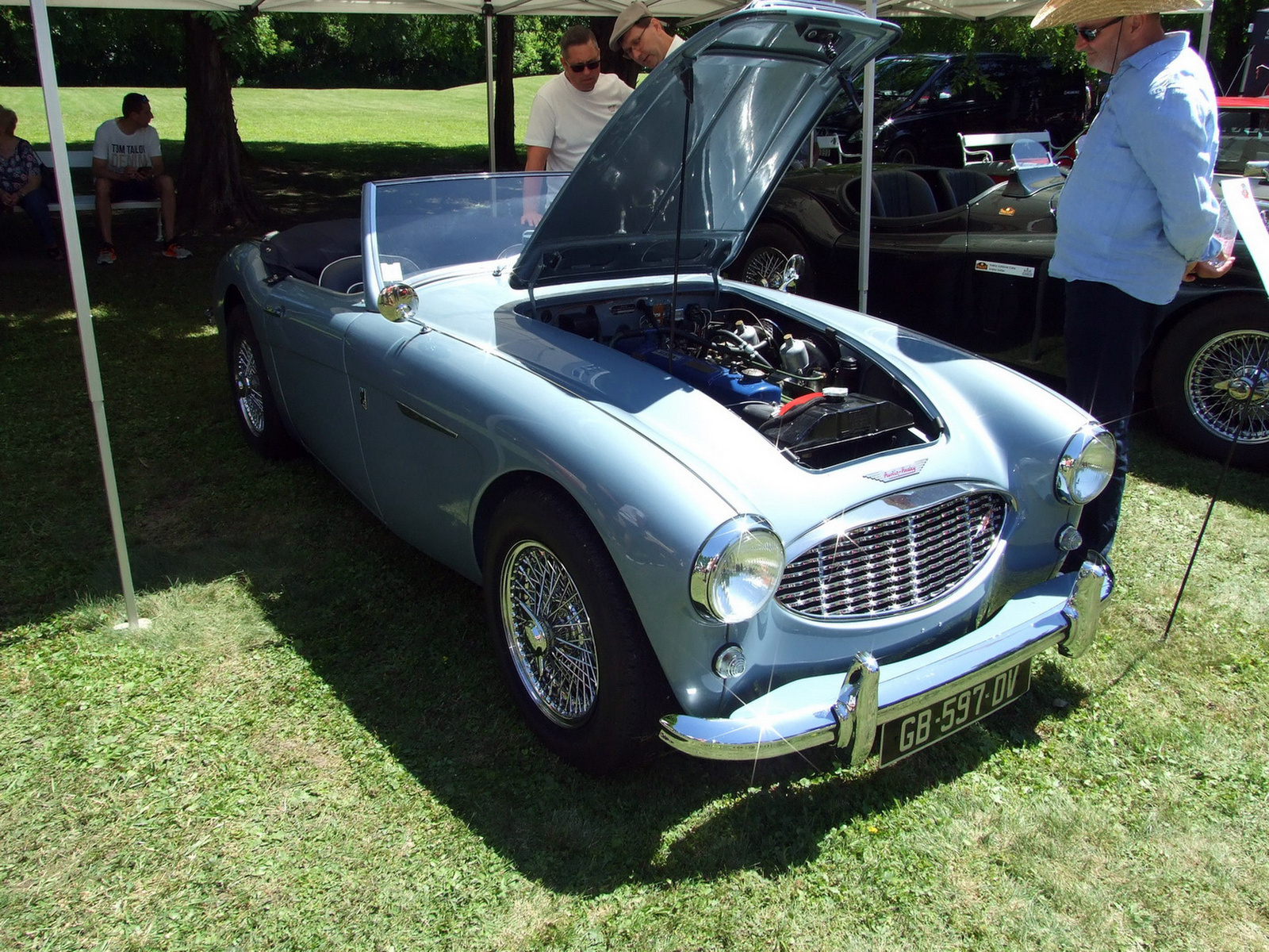 Austin Healey a