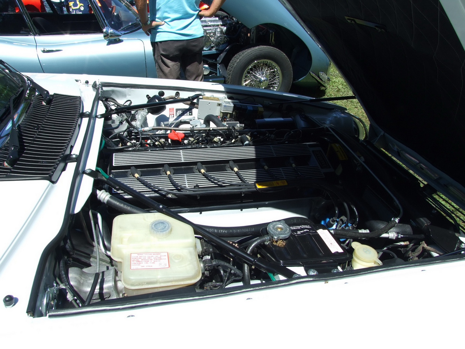 Jaguar XJS d