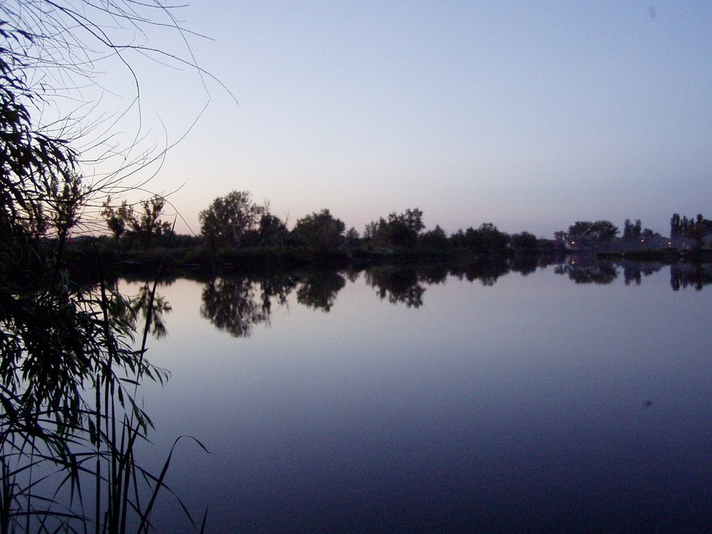 2013.06.13. Gorkijváros, Báger tavak 5