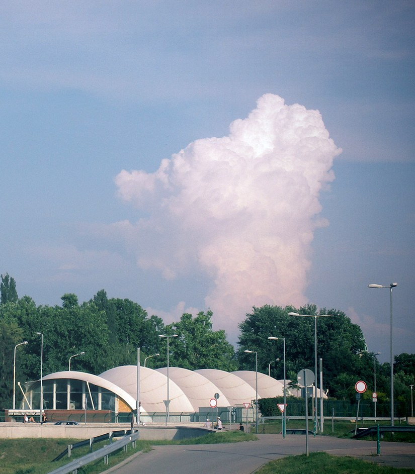 Cumulus congestus