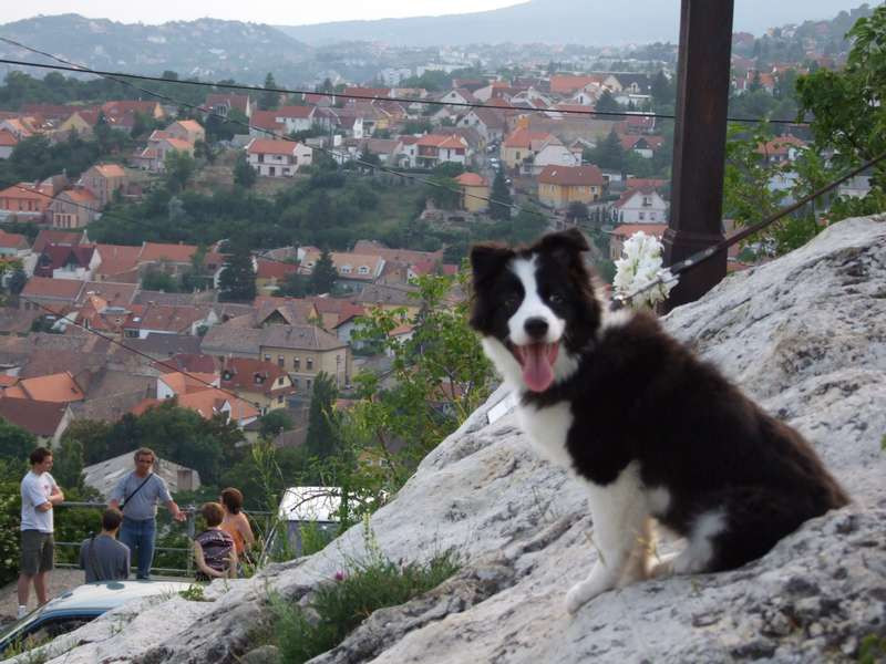 skylifotoka havihegyi temlomnál 297