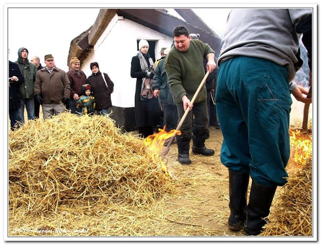 Hajdúsági disznótor505