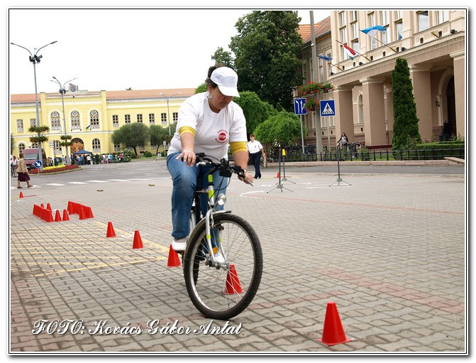 díszn. ízek fesztiválja406