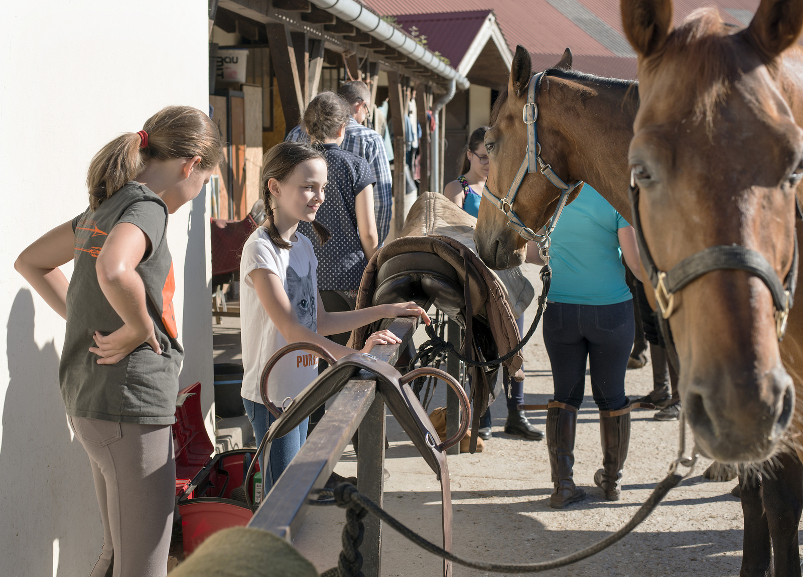 Csömör lovastábor 2018 (2)