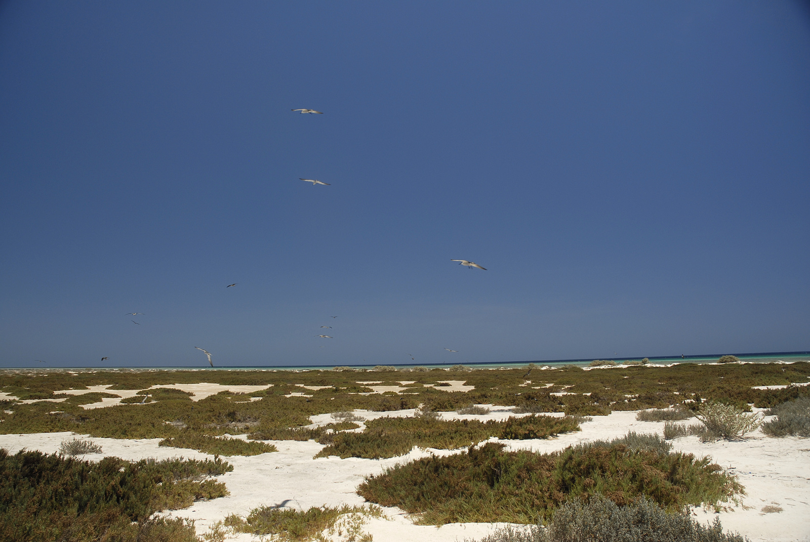 Marsa Alam (155)