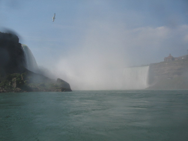 Niagara