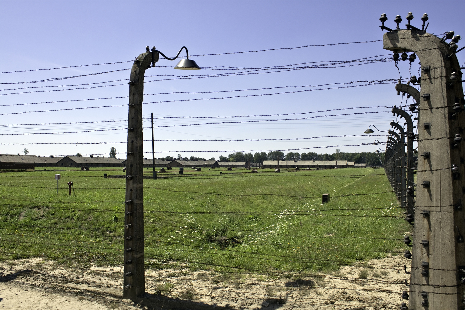 Birkenau 9886