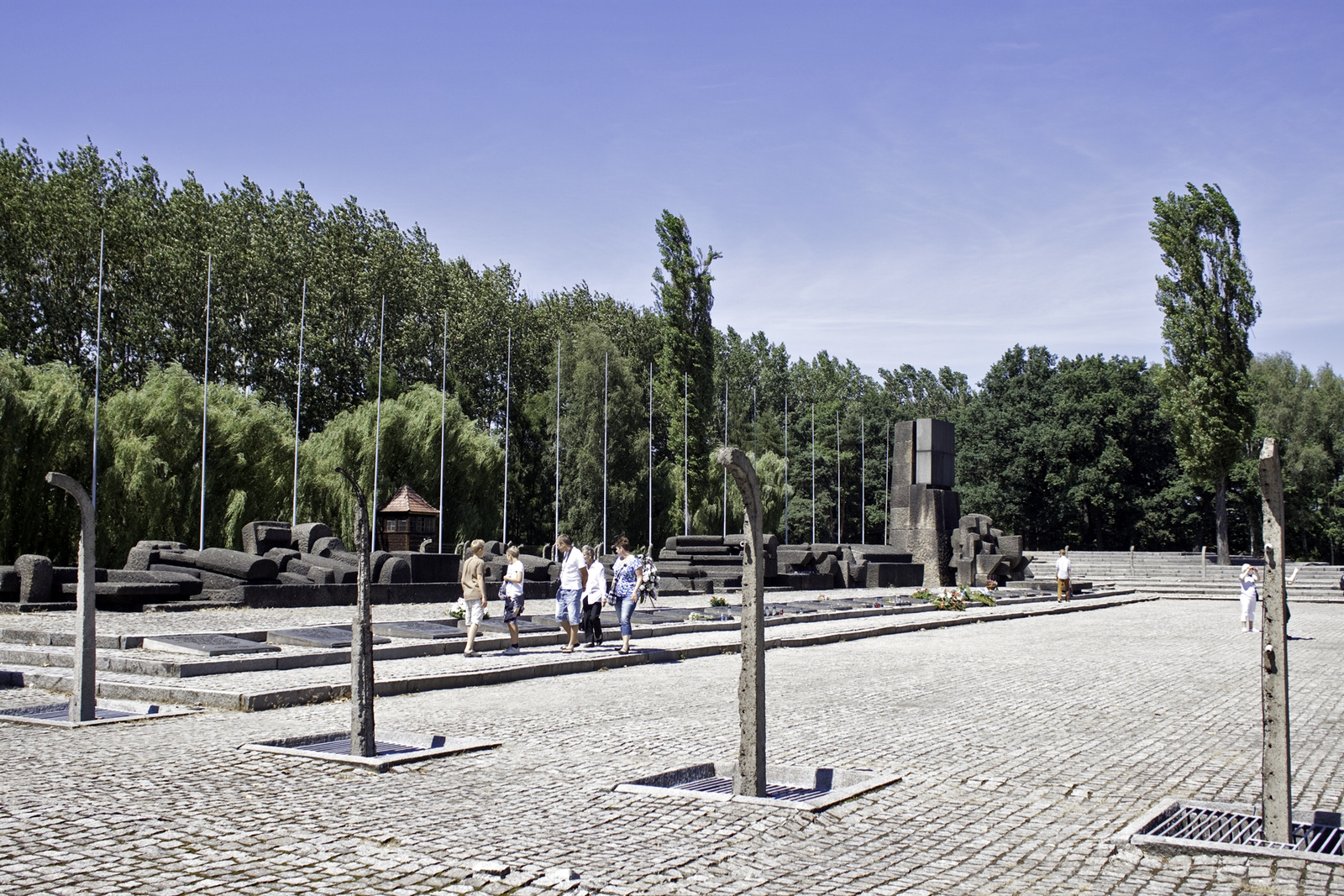 Birkenau 9915