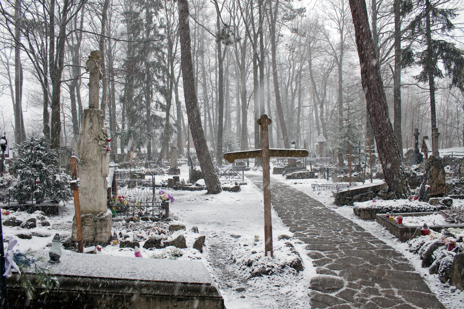 Zakopane temető 13833