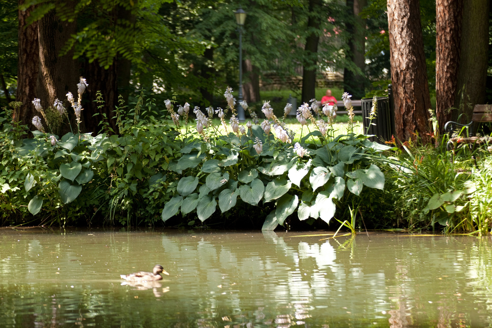 Żywiec-i kastélypark 15939