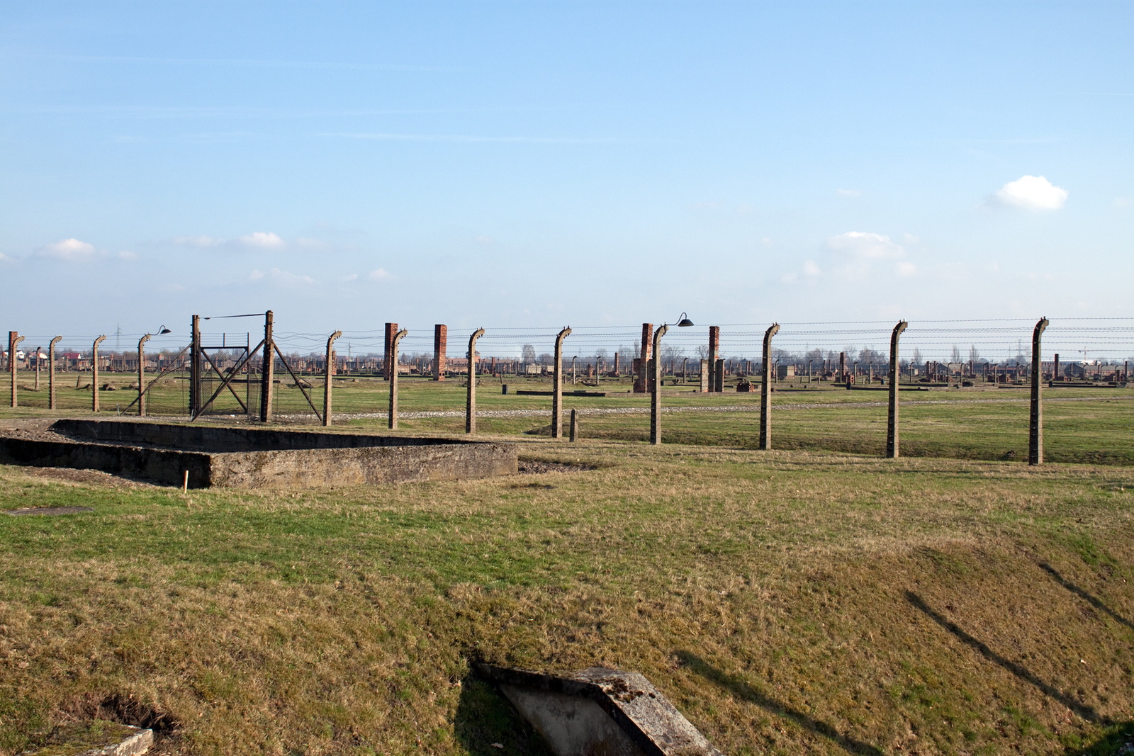 Birkenau 15379