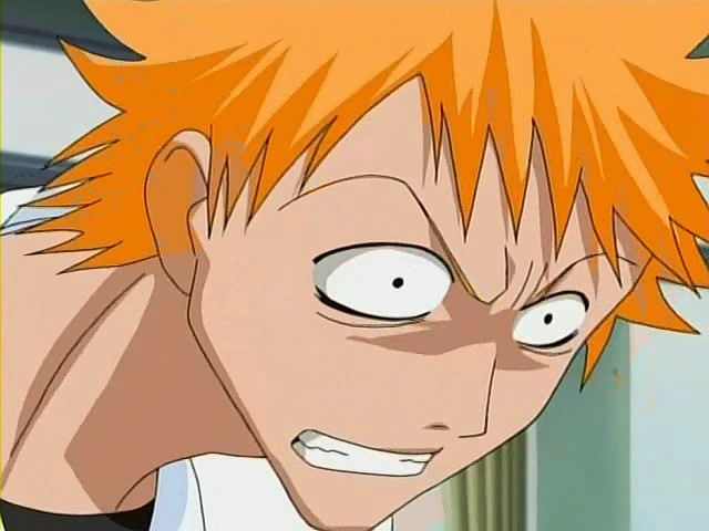 bleach ichigo0116