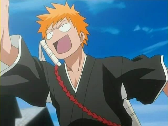 bleach ichigo0503