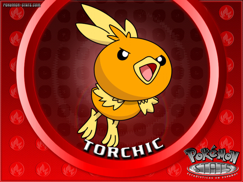 torchic