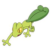 Treecko101