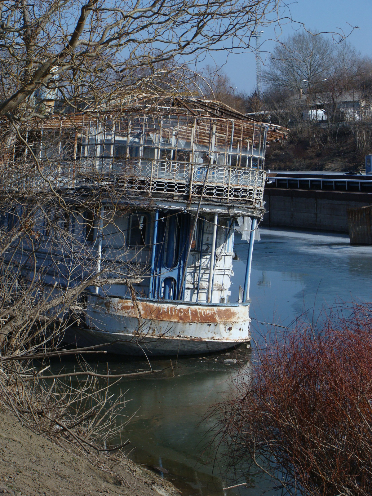 Szőke Tisza 2012.03. 001