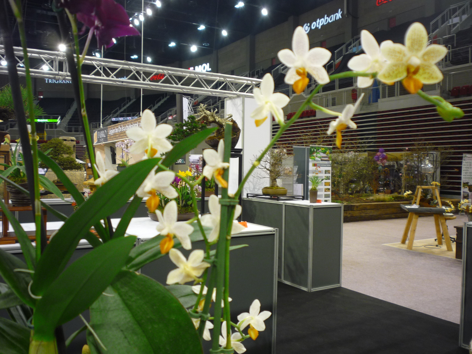 2014. MÁRCIUS,21. GARDEN EXPO 041