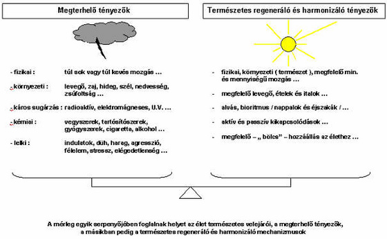 egeszseg