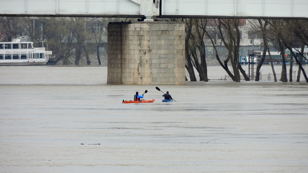 Kajakosok 13 04 07 Tisza0010