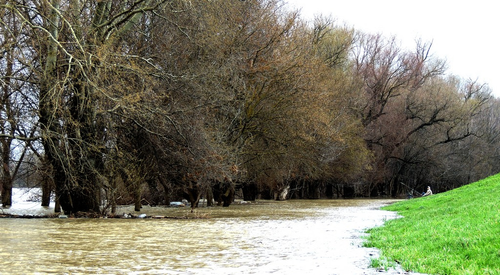 Tisza04.070006