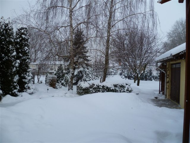 winter201202 005