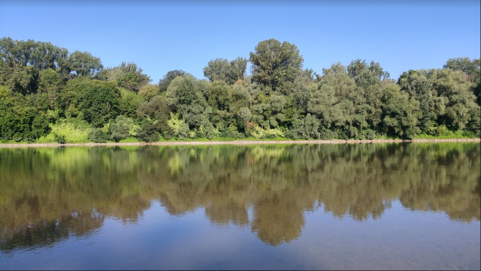 Tisza03.PNG