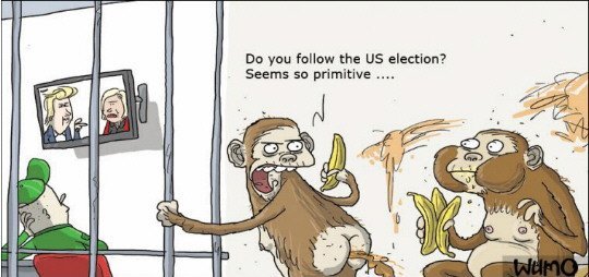 ELECTION