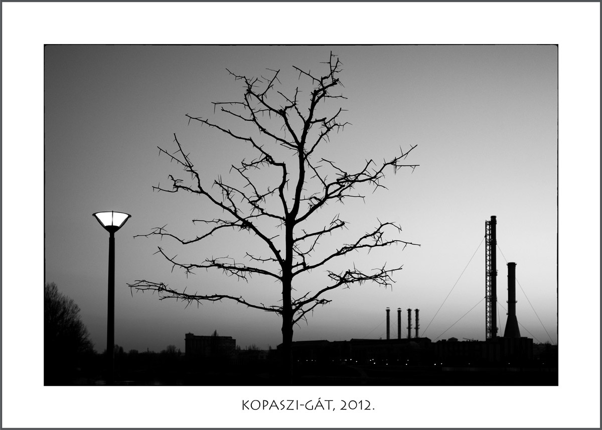 Kopaszi-gát, 2012. 03. 16.