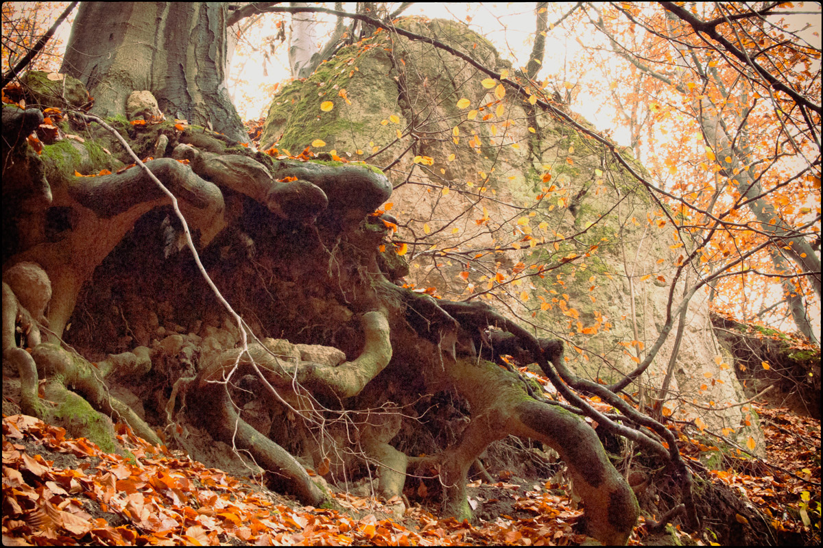 Holdvilágárok, 2012. 11. 24.