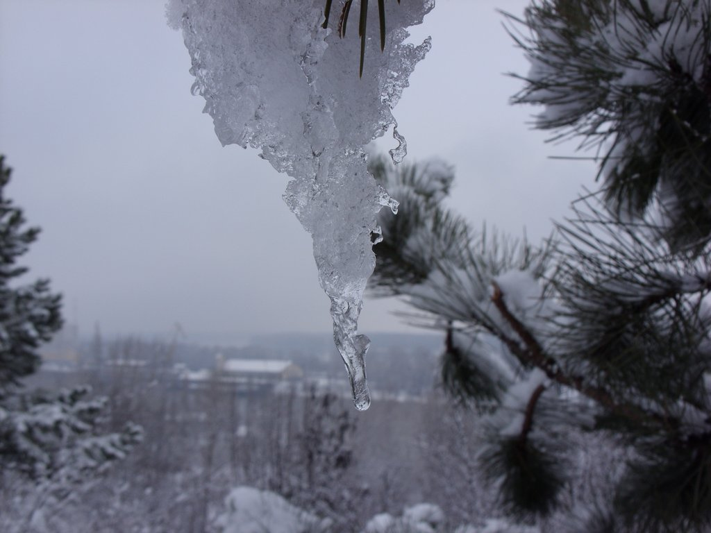 jégcsap,Dunai kikötő