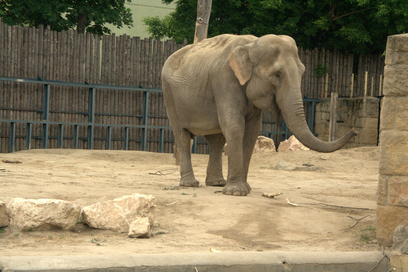 2011.Budapesti állatkert6