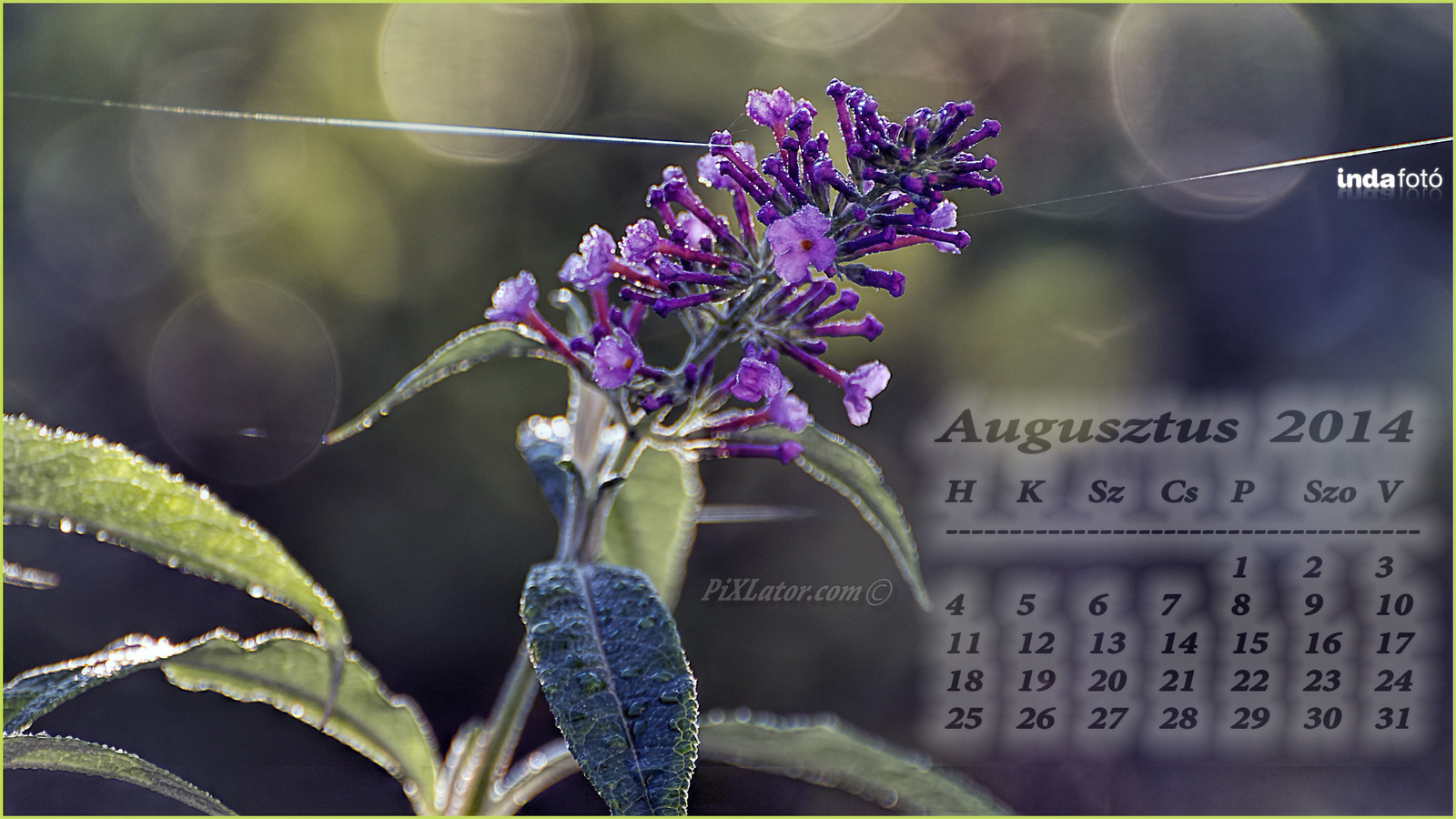 augusztus 2014 2560x1440