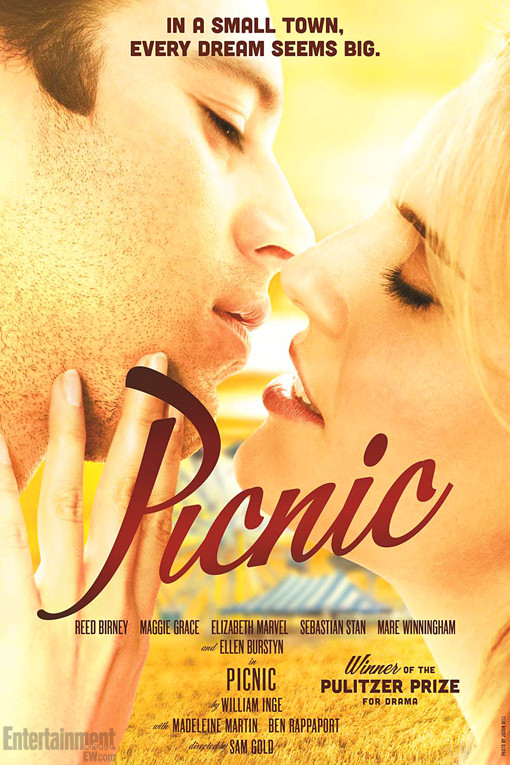 picnic-poster 510x765