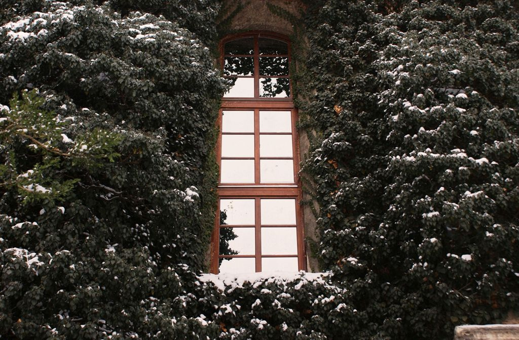 2012. tél - Kecskemét - A református templom ablaka