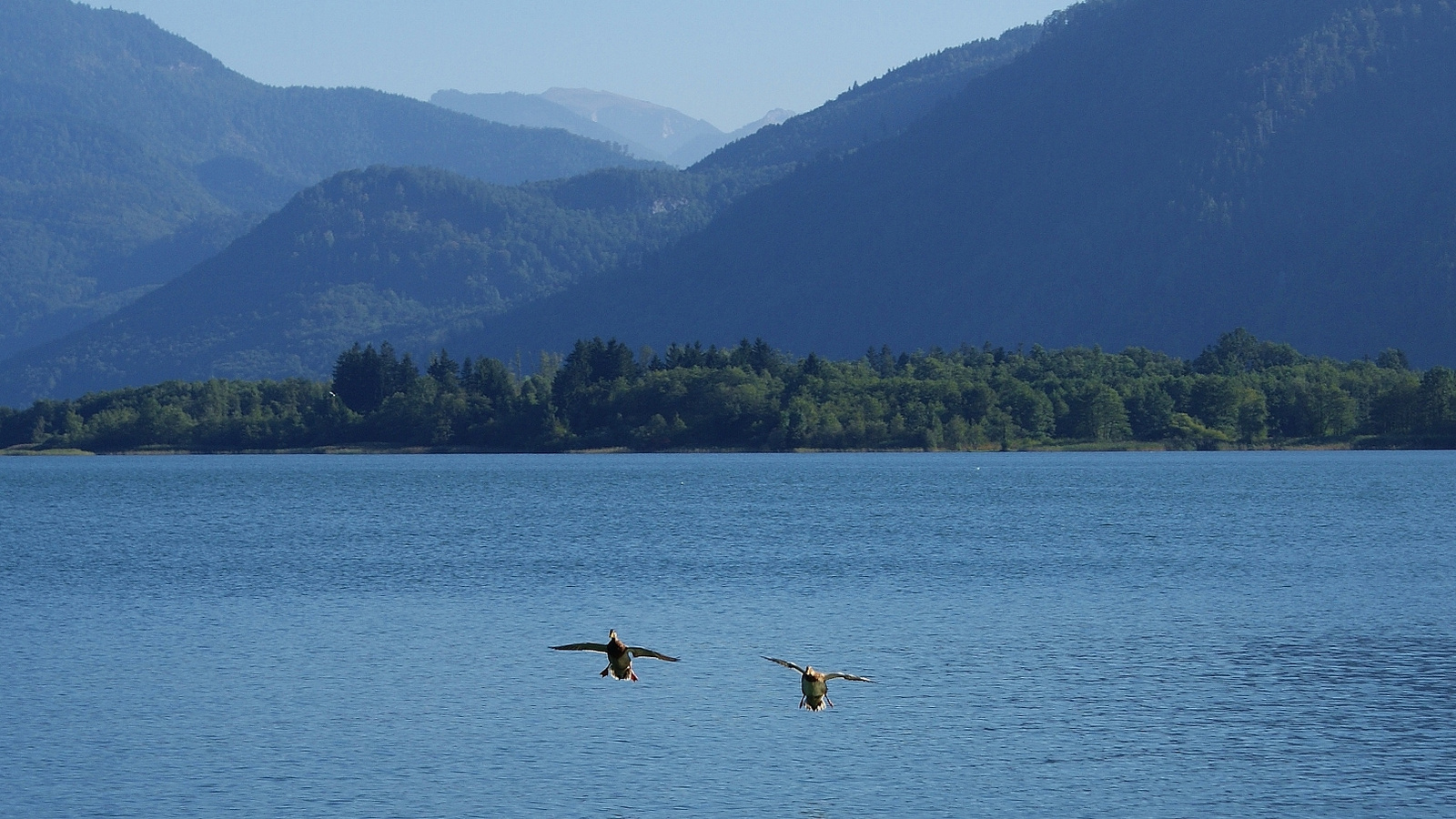 Mondsee