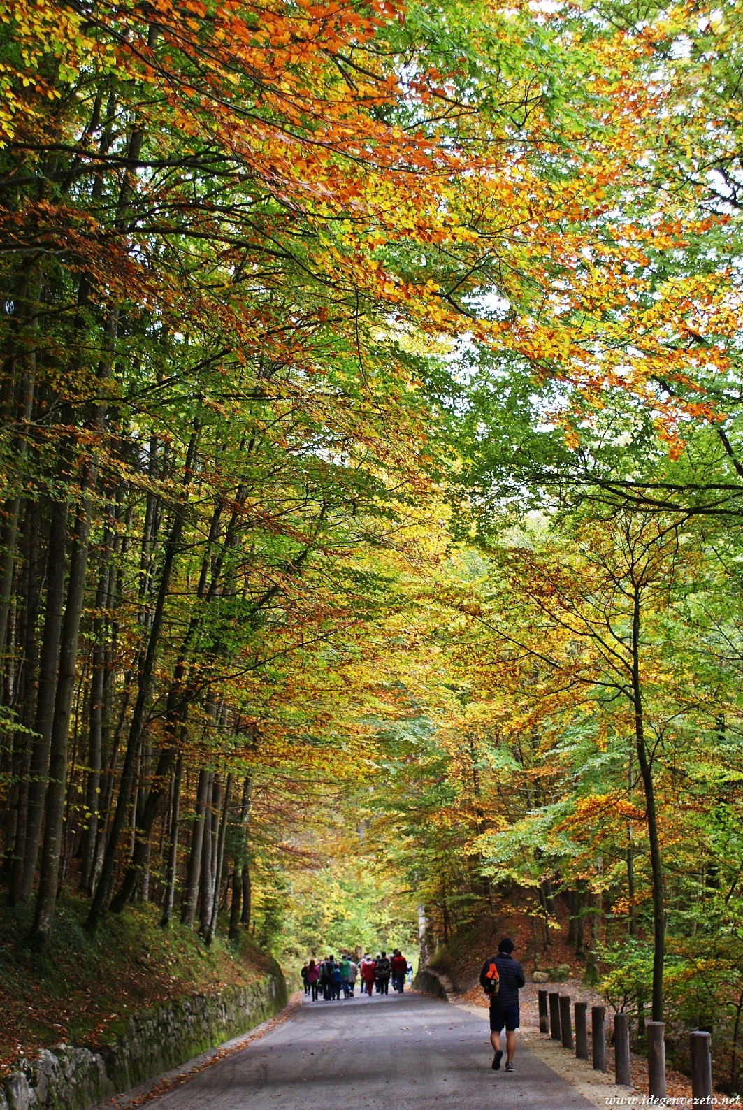 Őszi túra - Bajorország 2014 október