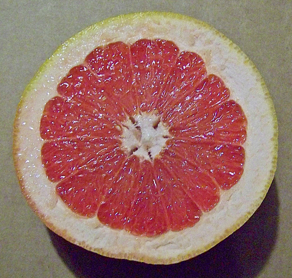 Grapefruit 8561