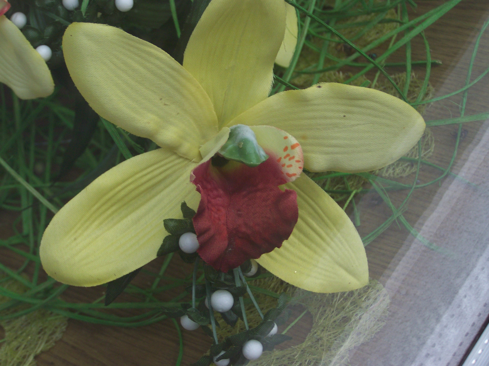 orchidea 0200