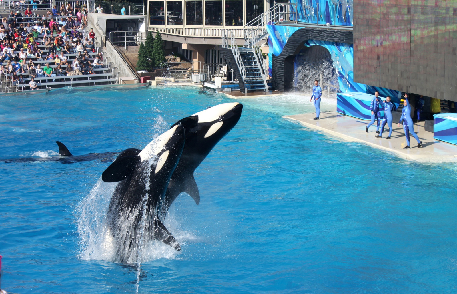 seaworld4