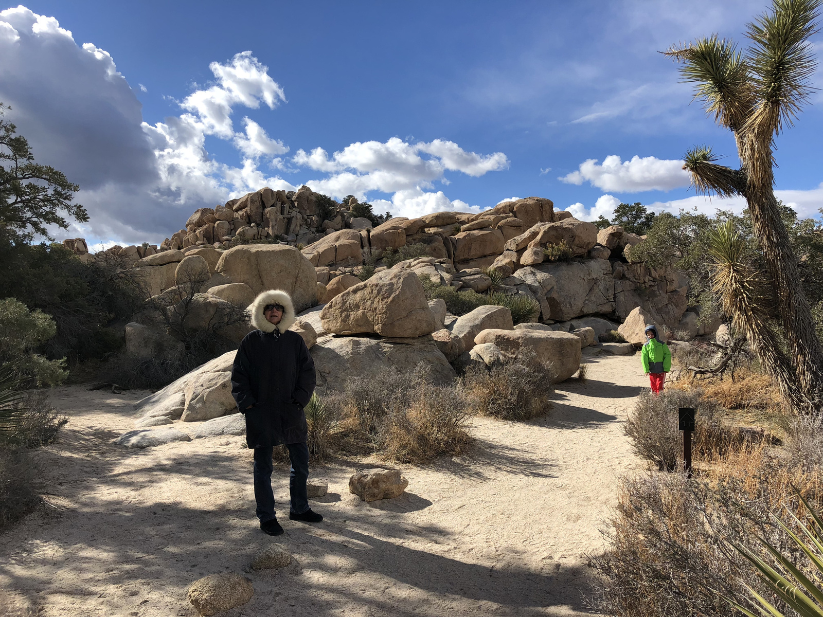 Joshua tree park