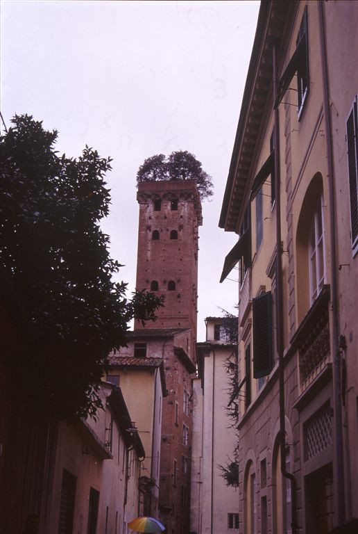 Lucca-47