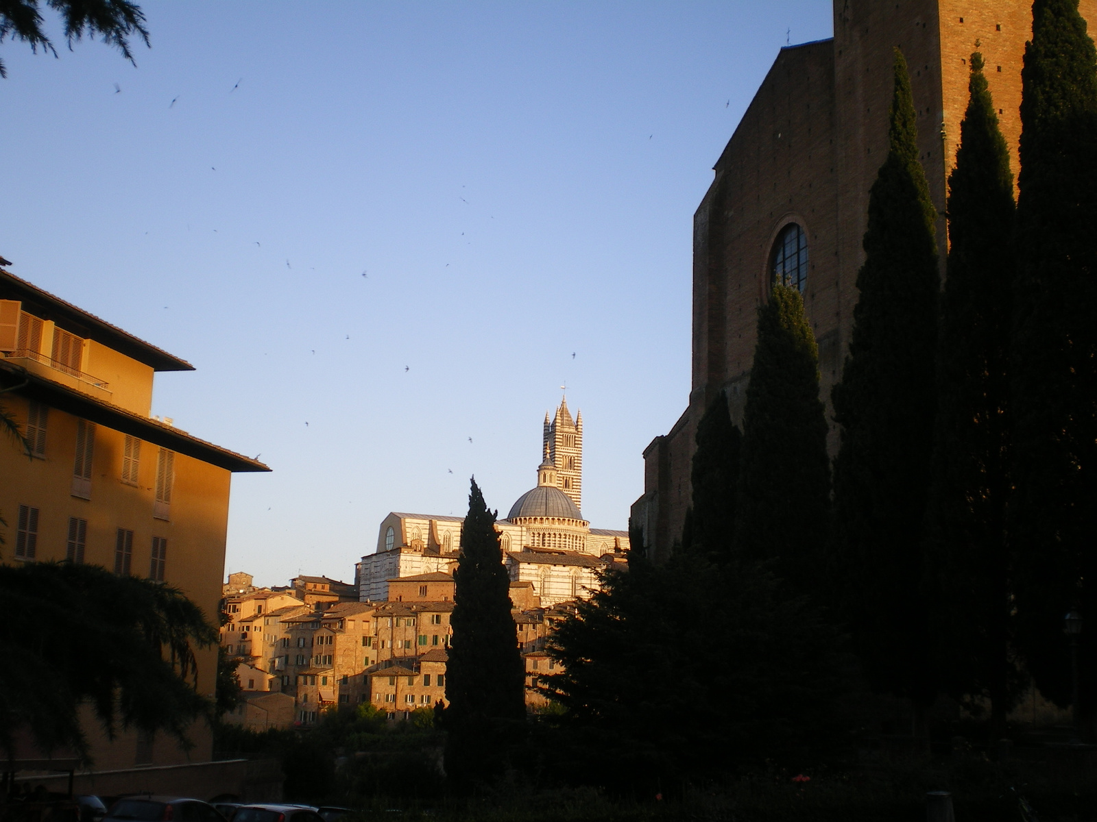 Siena