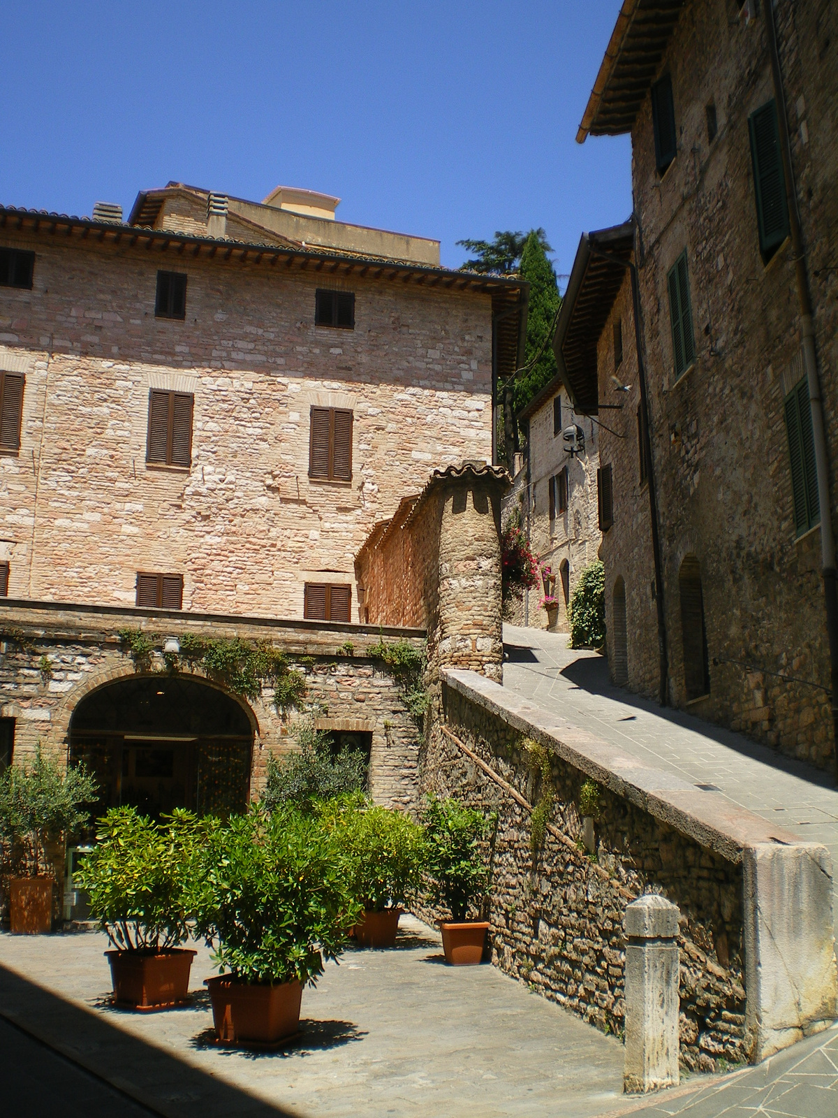 Assisi