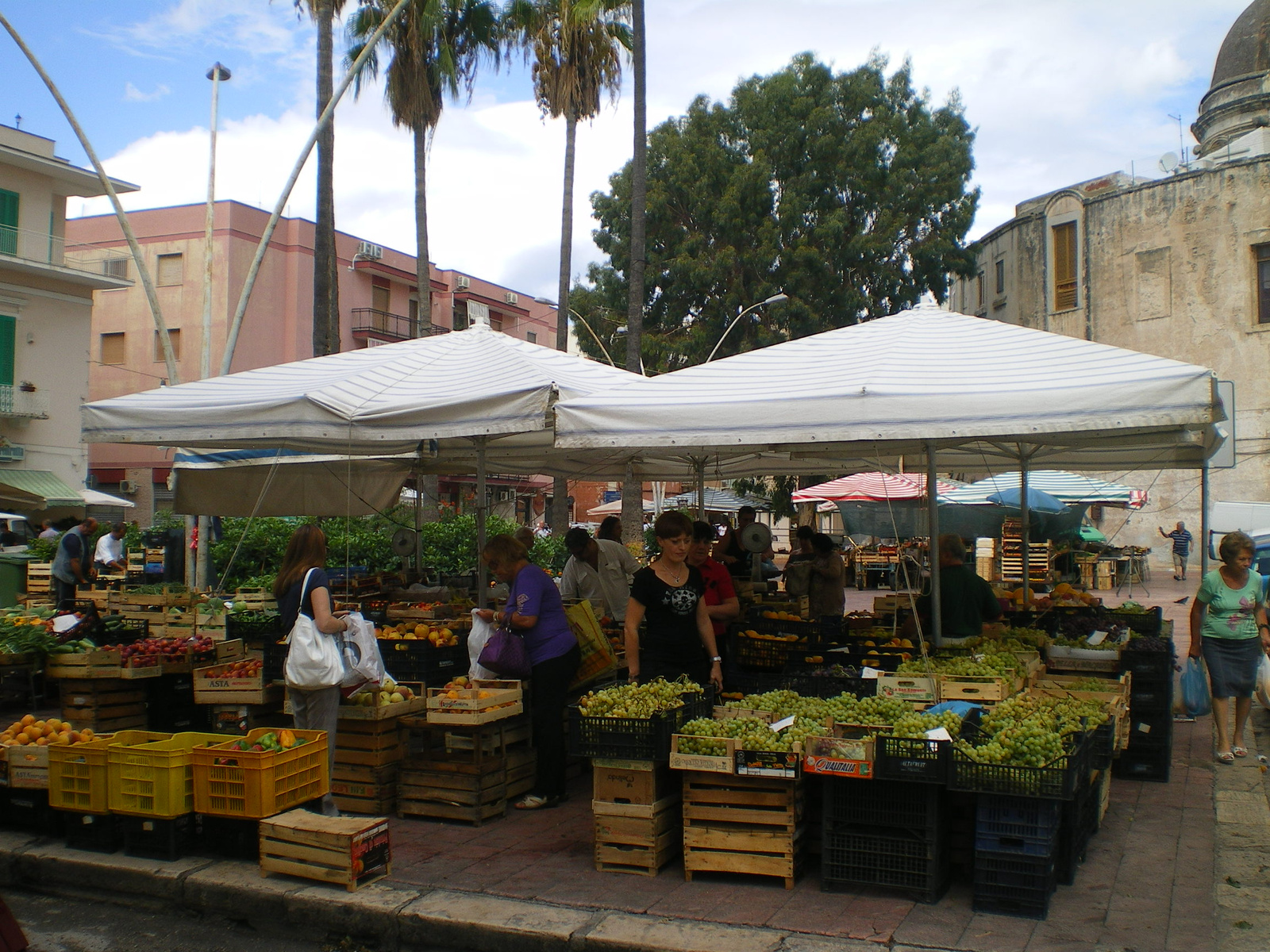 Monopoli piac Piazza XX. Settembre