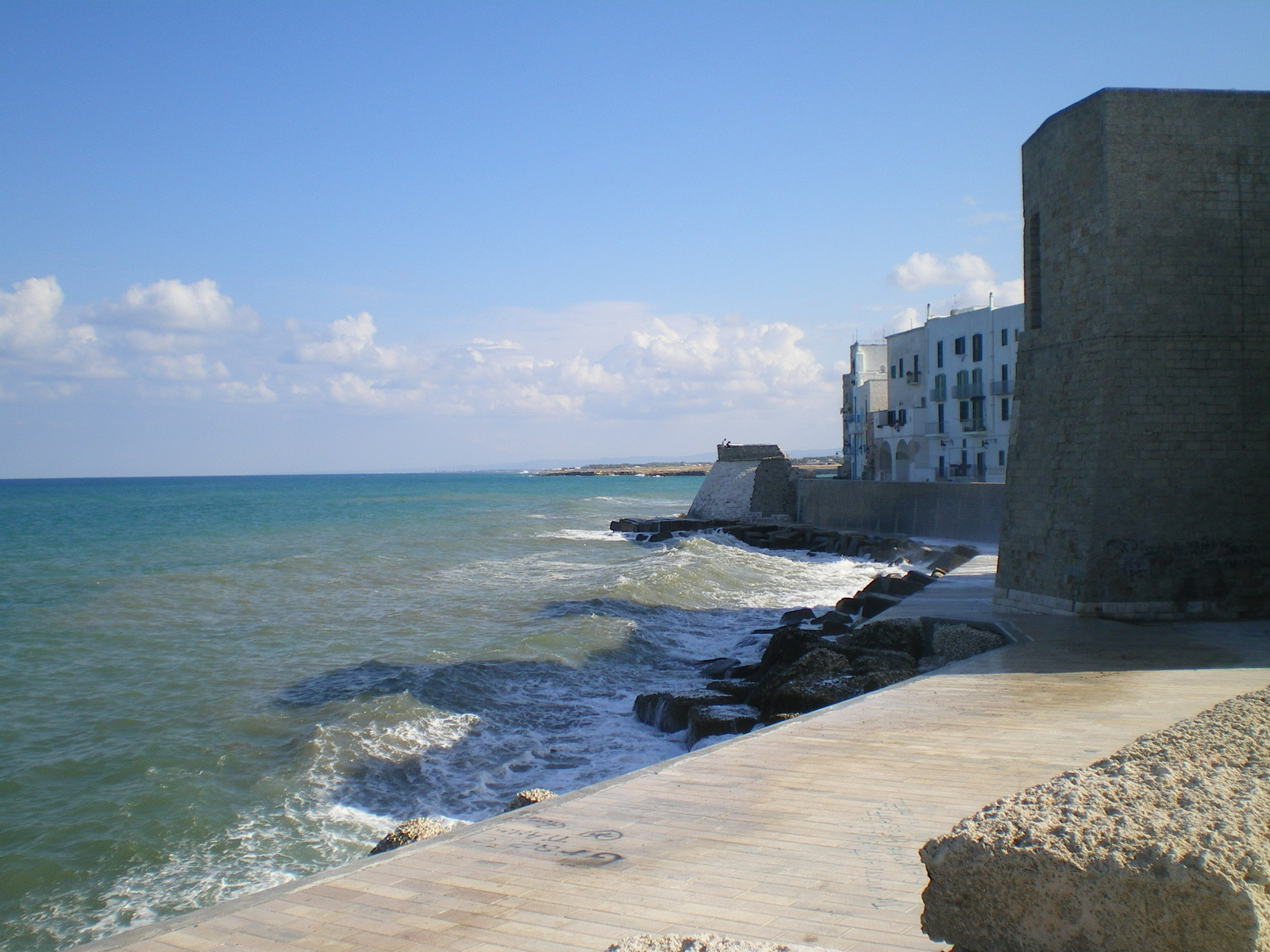 Monopoli